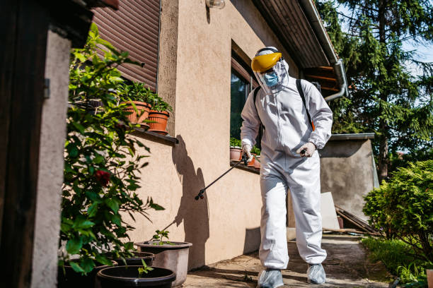 Best Insect Control  in Big Sky, MT