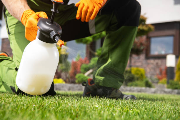 Best Best Pest Control Companies  in Big Sky, MT