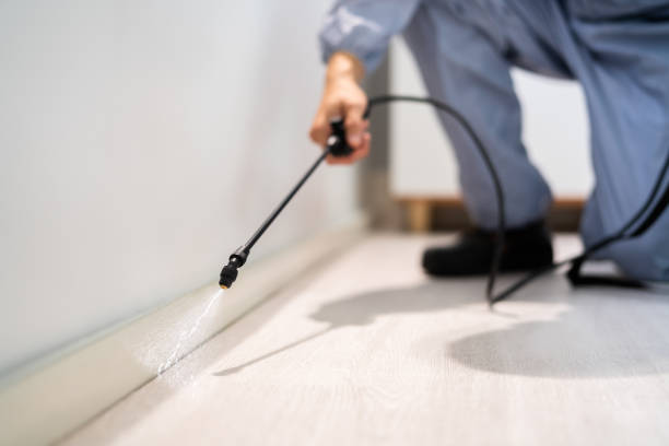 Best Pest Prevention Services  in Big Sky, MT