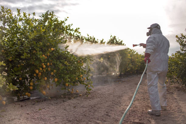 Best Pest Inspection Near Me  in Big Sky, MT
