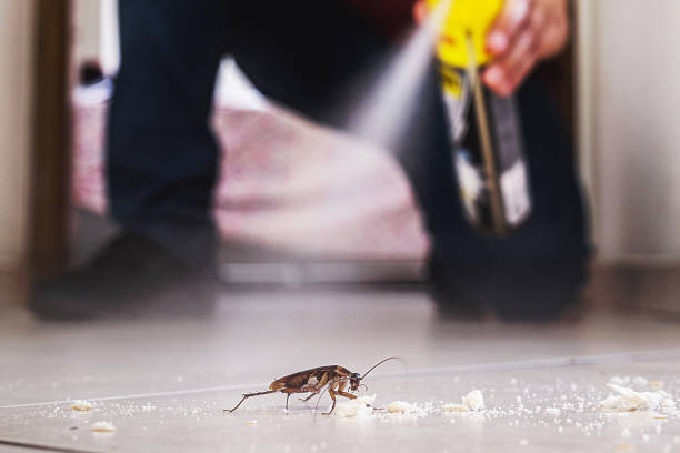 Big Sky, MT Pest Control Company